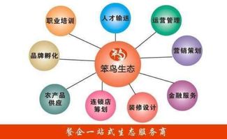 笨鳥(niǎo)生態(tài) 深圳餐飲咨詢與顧問(wèn)領(lǐng)域的創(chuàng)新飛翔